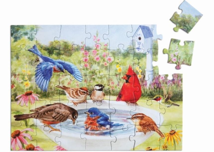 puzzle with birds in a bath